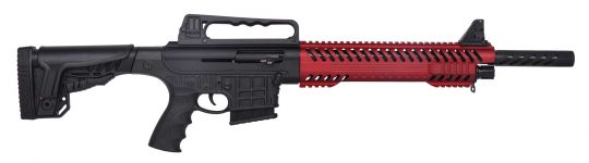 dbm-1213