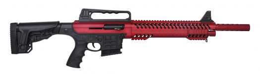 dbm-1216