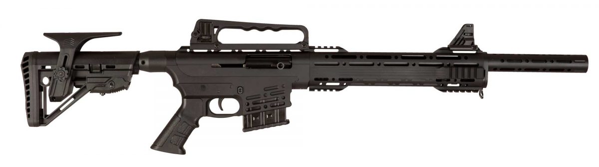 dbm-1219