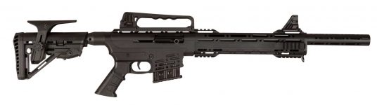 dbm-1219