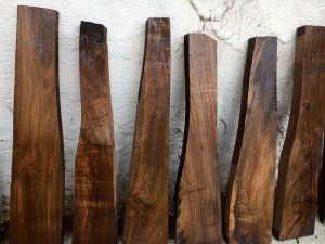 Photo-12