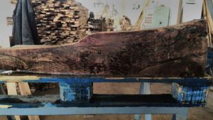 Photo-26