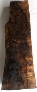 Photo-3